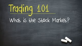 Trading 101 What is the Stock Market [upl. by Ateikan45]