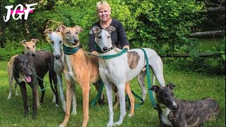 Retired Greyhounds Found New Homes [upl. by Dyanne]