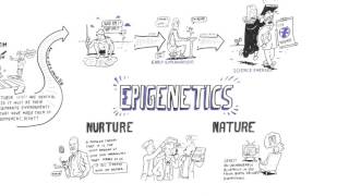 Epigenetics Nature vs nurture [upl. by Pardoes963]