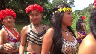 Tour of the Embera Indigenous Community in Panama [upl. by Fullerton]