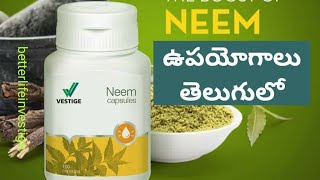 Vestige Neem capsules Benefits ampUsage in Telugu  Diabetes treatment [upl. by Johnette]