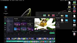 Movavi Slideshow Maker 2021 Tutorial Deutsch [upl. by Selij732]