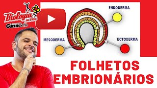 FOLHETOS EMBRIONÁRIOS  EMBRIOLOGIA [upl. by Anihsit]