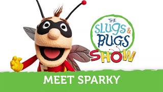 Meet Sparky the Lightning Bug  The Slugs amp Bugs Show [upl. by Imaon275]