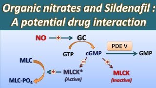 Organic nitrates and Sildenafil  A potential drug interaction [upl. by Ahsinej]