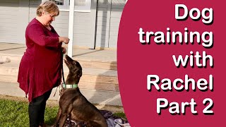 Advanced Dog Training with Greyhound Guru Dog Behaviourist amp Trainer Rachel [upl. by Cirederf]