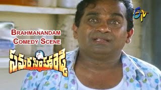 Samarasimha Reddy Telugu Movie  Brahmanandam Comedy Scene  Balakrishna  Simran  ETV Cinema [upl. by Harbard858]