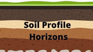 Soil Profile and Soil Horizons [upl. by Eirehc]