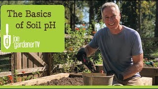 The Basics of Soil pH [upl. by Pickford]