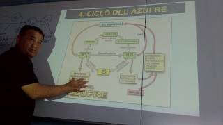 ciclo del azufre [upl. by Adnilrem]