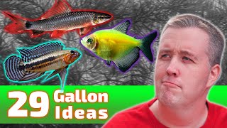 The BEST Ideas for Your 29 Gallon Fish Tank [upl. by Iem]