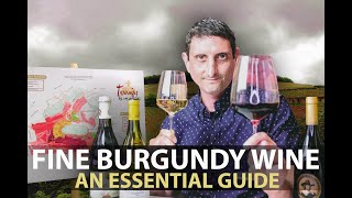 10Minute Guide to Burgundy  Fine Wines from Bourgogne Part1 [upl. by Mata]