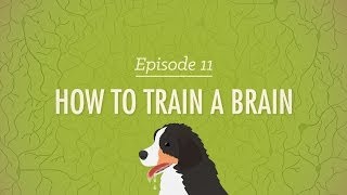 How to Train a Brain Crash Course Psychology 11 [upl. by Schwartz57]