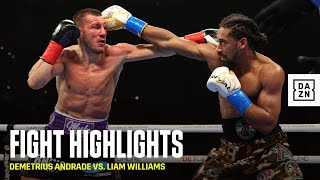 HIGHLIGHTS  Demetrius Andrade vs Liam Williams [upl. by Otis]