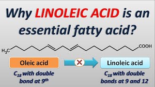 Why Linoleic acid is an essential fatty acid [upl. by Vani]