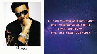 Shaggy  Mr Boombastic Lyrics [upl. by Erdne]