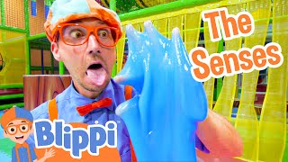 Blippi Learns the 5 Senses at a Play Place  Blippi Full Episodes  Educational Videos  Blippi Toys [upl. by Eillod]