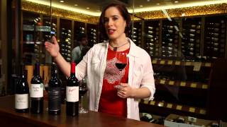 Pinot Noir Merlot Cabernet Sauvignon Shiraz Syrah  Red Wine Guide [upl. by Katina736]