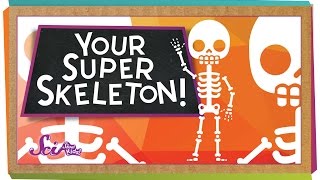 Your Super Skeleton [upl. by Jill850]