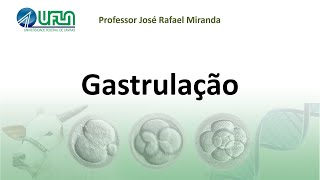 Gastrulação [upl. by Edwina386]