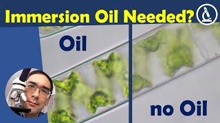 🔬 How important is IMMERSION OIL for microscopy [upl. by Allekim955]