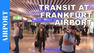 TRANSIT WALK AT FRANKFURT Airport FRA Terminal 1  Connection Flight Transfer Arriving amp Departing [upl. by Mehelhteb665]