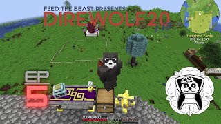 DireWolf20 118 Ep5  Starting A Colony [upl. by Eirene]