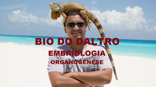 EMBRIOLOGIA  ORGANOGÊNESE [upl. by Akemat]