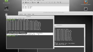 How to install and use a VNC Server amp Client in Linux mint [upl. by Lapides367]