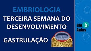 Gastrulação Ectoderma Mesoderma e Endoderma  Terceira Semana do Desenvolvimento Embriologia [upl. by Lectra]