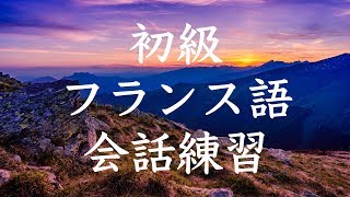 初級フランス語会話トレーニング230  基本フレーズ聞き流し [upl. by Yerffoej52]