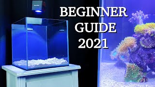 No money no problem  REEF TANK BASICS  quothow to start a saltwater aquariumquot BEGINNER GUIDE 2021 [upl. by Zins]