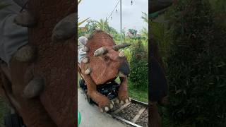 NAIK KERETA DINOSAURUS TRICERATOP BARENG ADEK KAKA [upl. by Ednew]